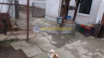 casa-de-vanzare-in-zona-cetate-piata-9